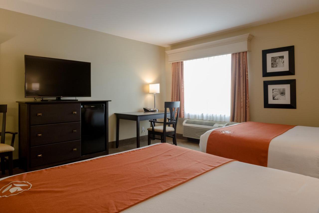 Amsterdam Inn & Suites Sussex Kültér fotó
