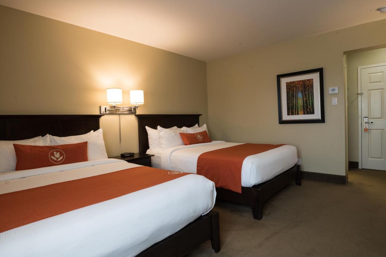 Amsterdam Inn & Suites Sussex Kültér fotó