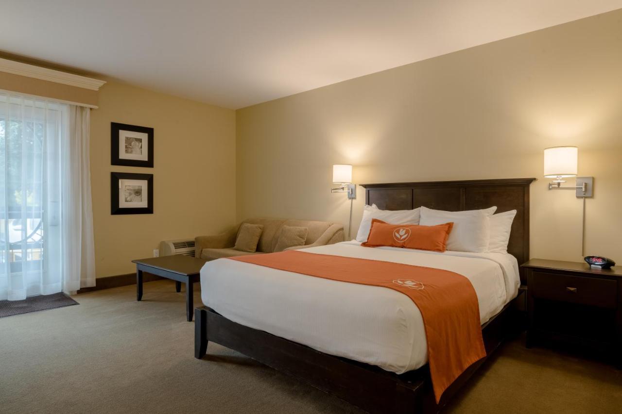 Amsterdam Inn & Suites Sussex Kültér fotó