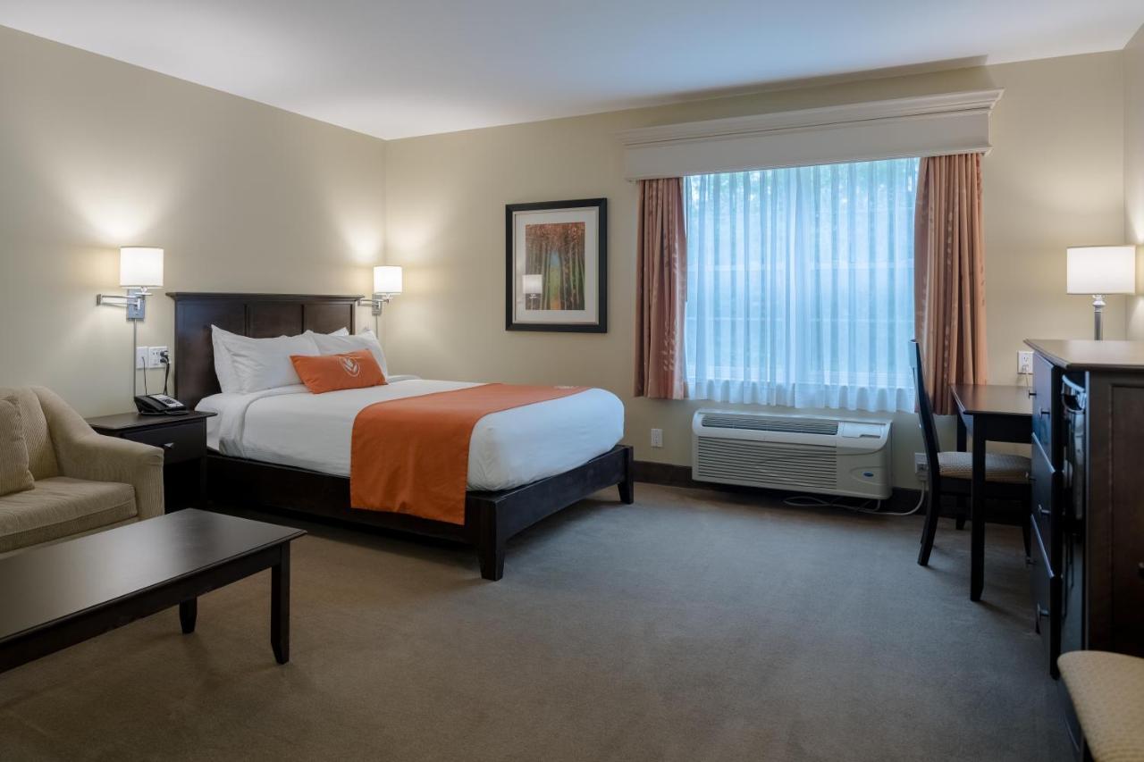 Amsterdam Inn & Suites Sussex Kültér fotó