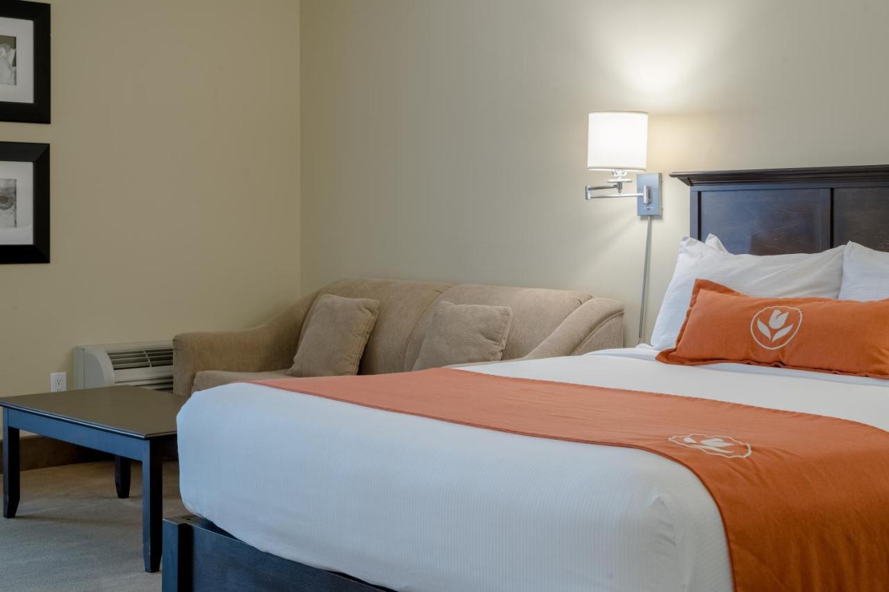 Amsterdam Inn & Suites Sussex Kültér fotó