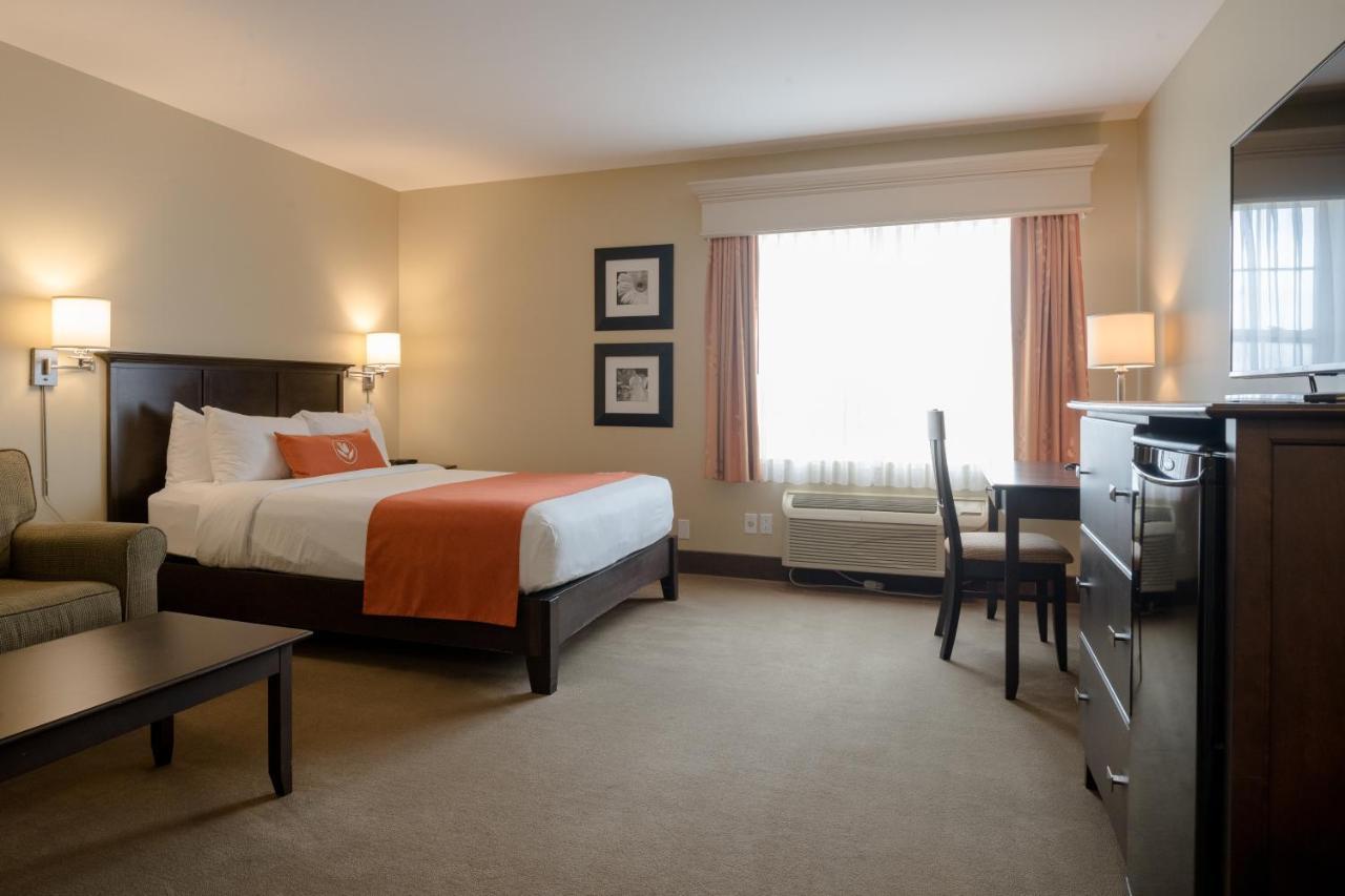 Amsterdam Inn & Suites Sussex Kültér fotó