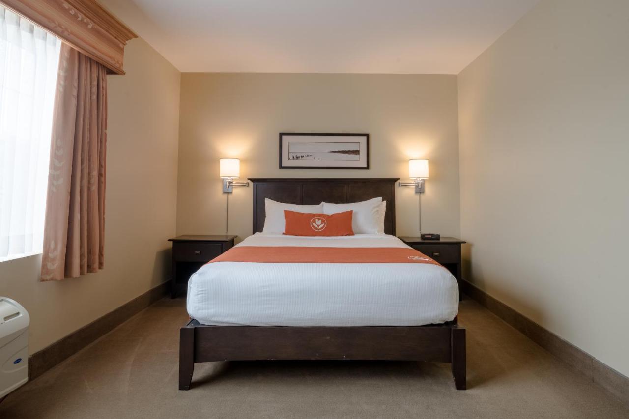 Amsterdam Inn & Suites Sussex Kültér fotó