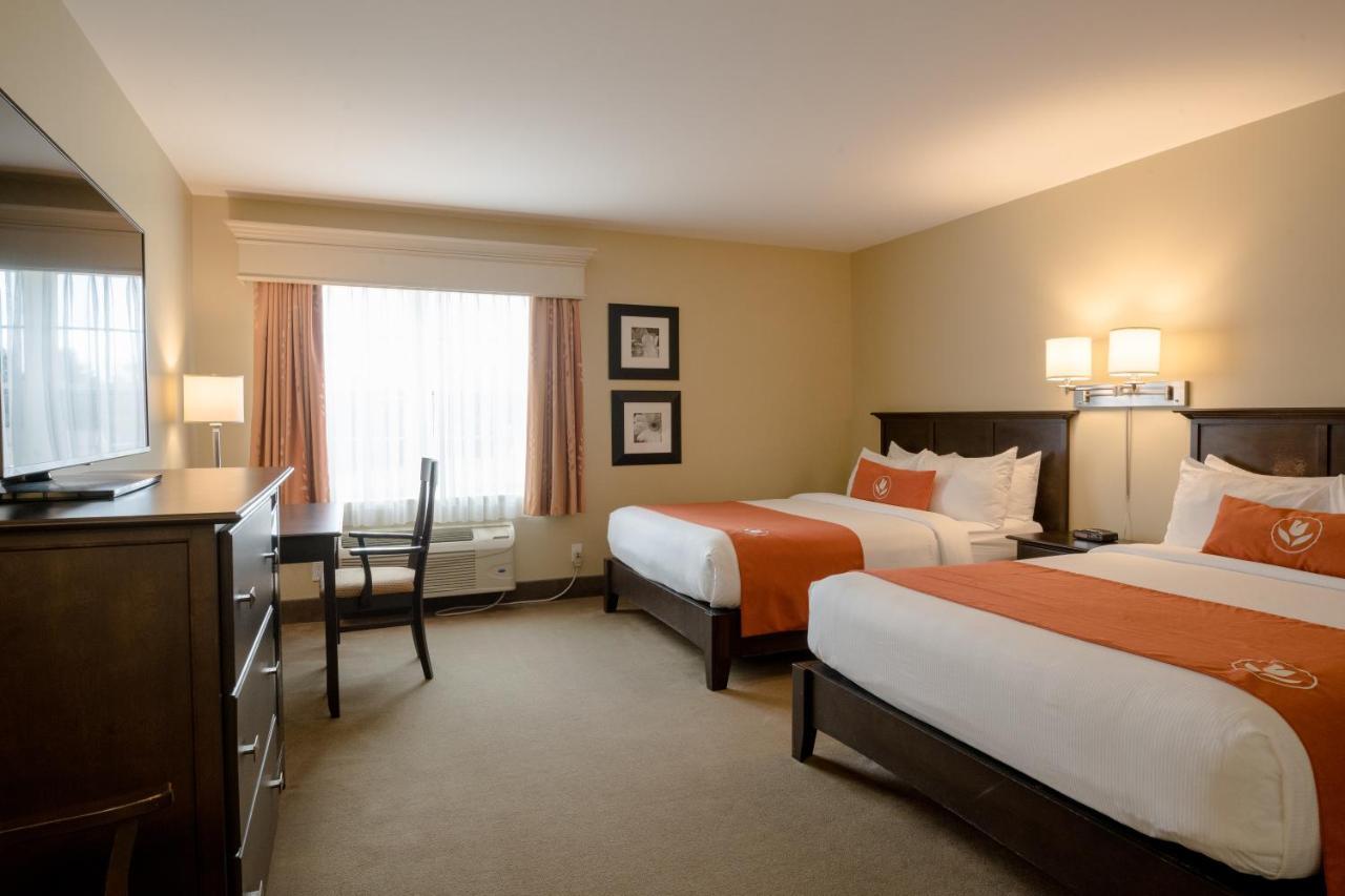 Amsterdam Inn & Suites Sussex Kültér fotó