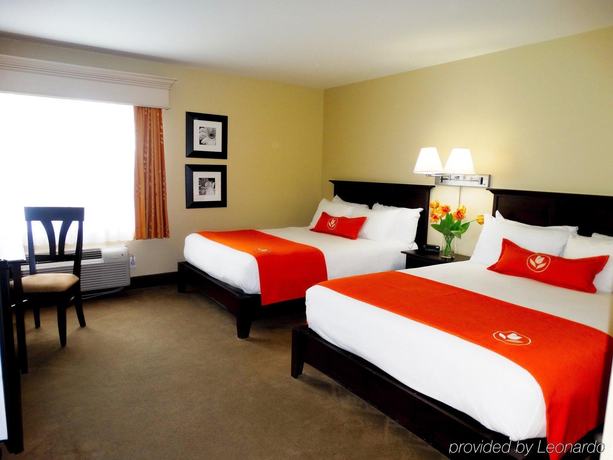 Amsterdam Inn & Suites Sussex Kültér fotó