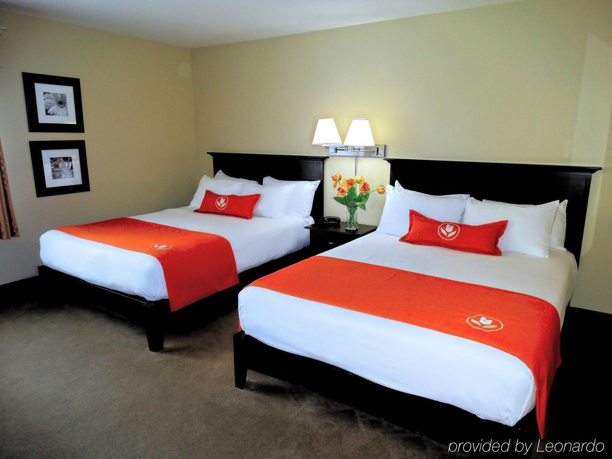 Amsterdam Inn & Suites Sussex Kültér fotó