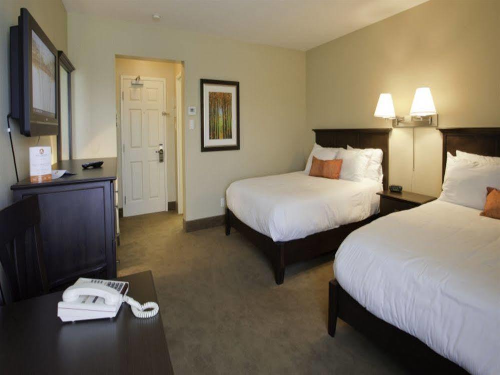 Amsterdam Inn & Suites Sussex Kültér fotó