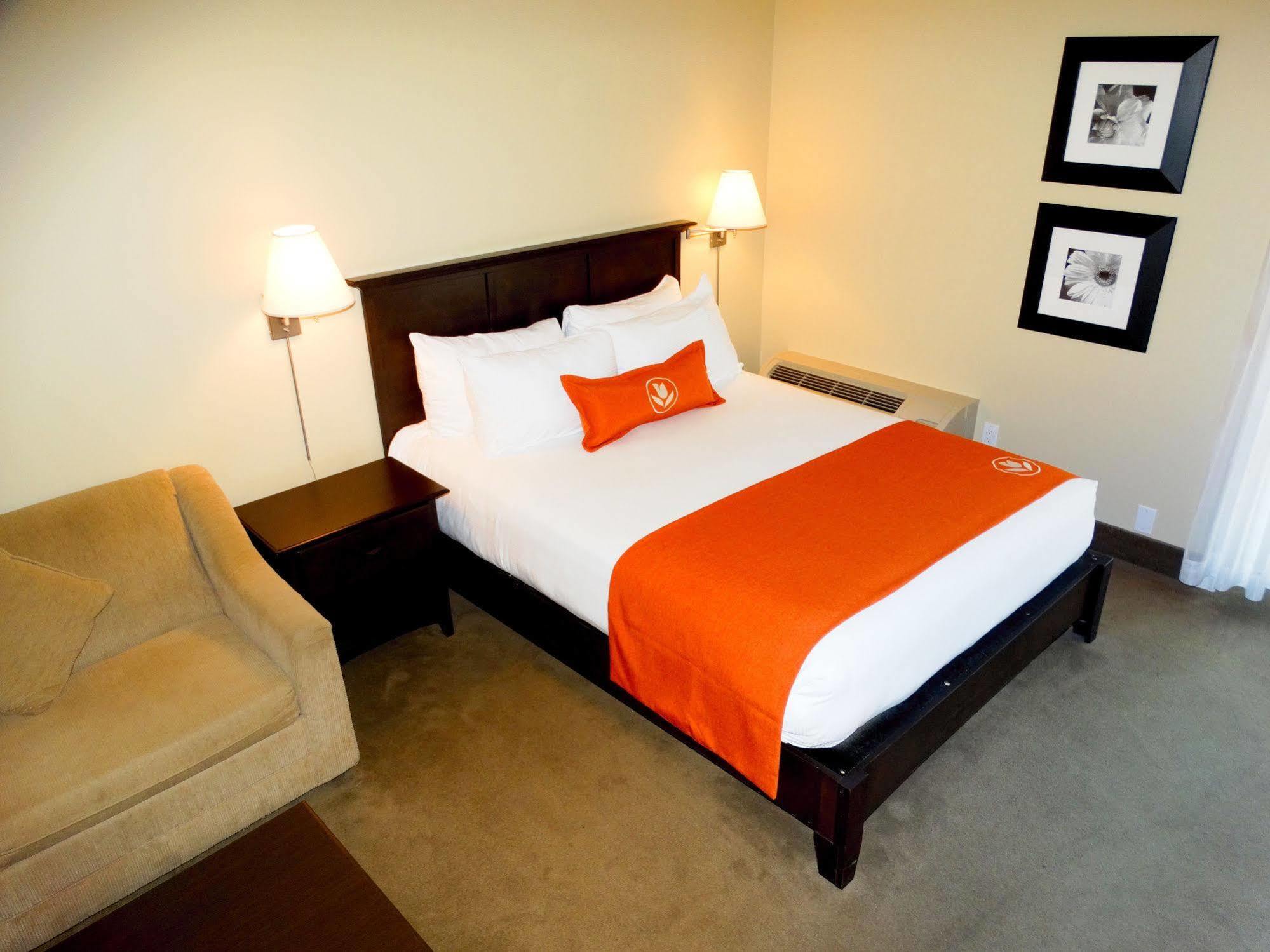 Amsterdam Inn & Suites Sussex Kültér fotó