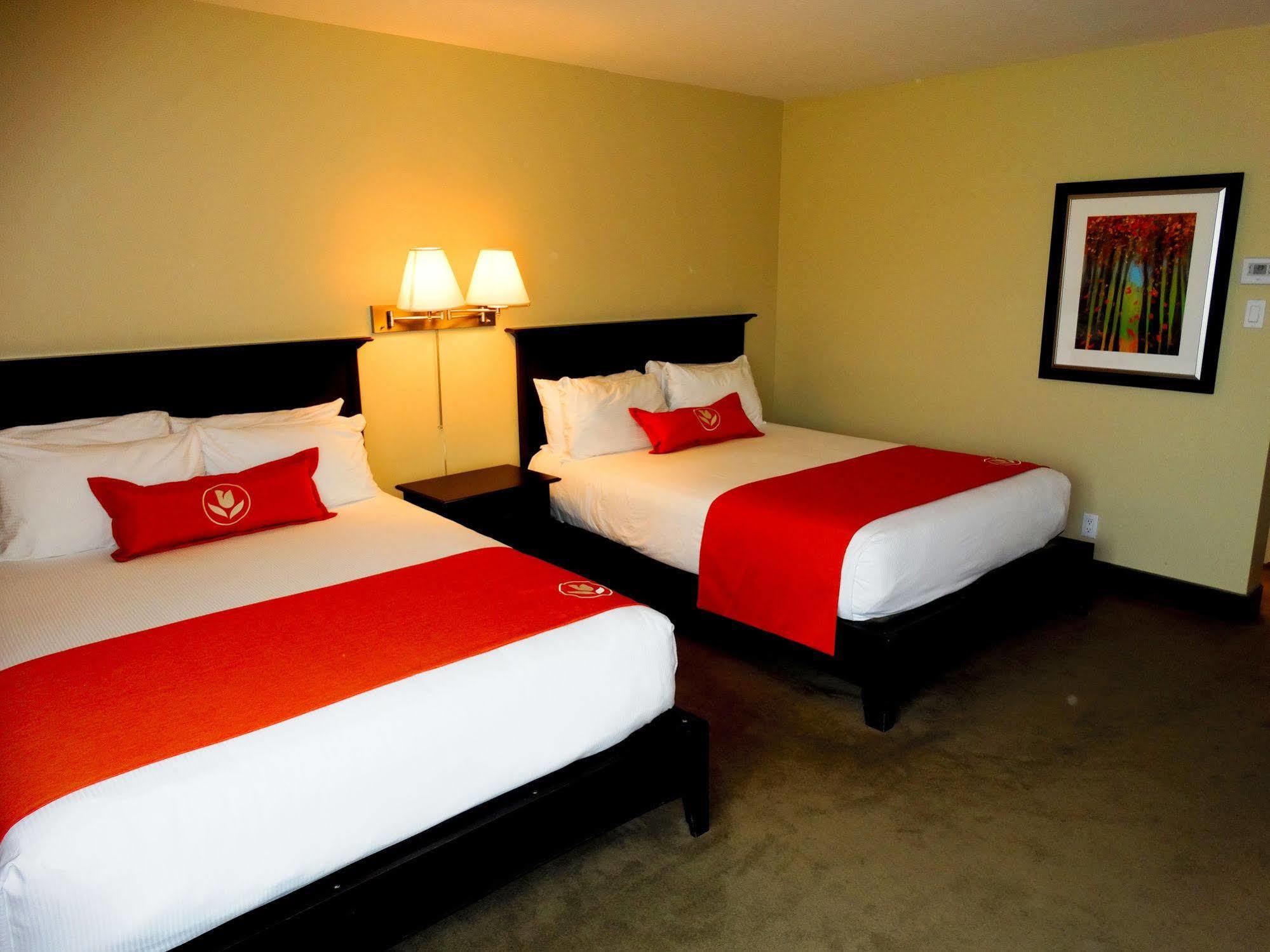 Amsterdam Inn & Suites Sussex Kültér fotó