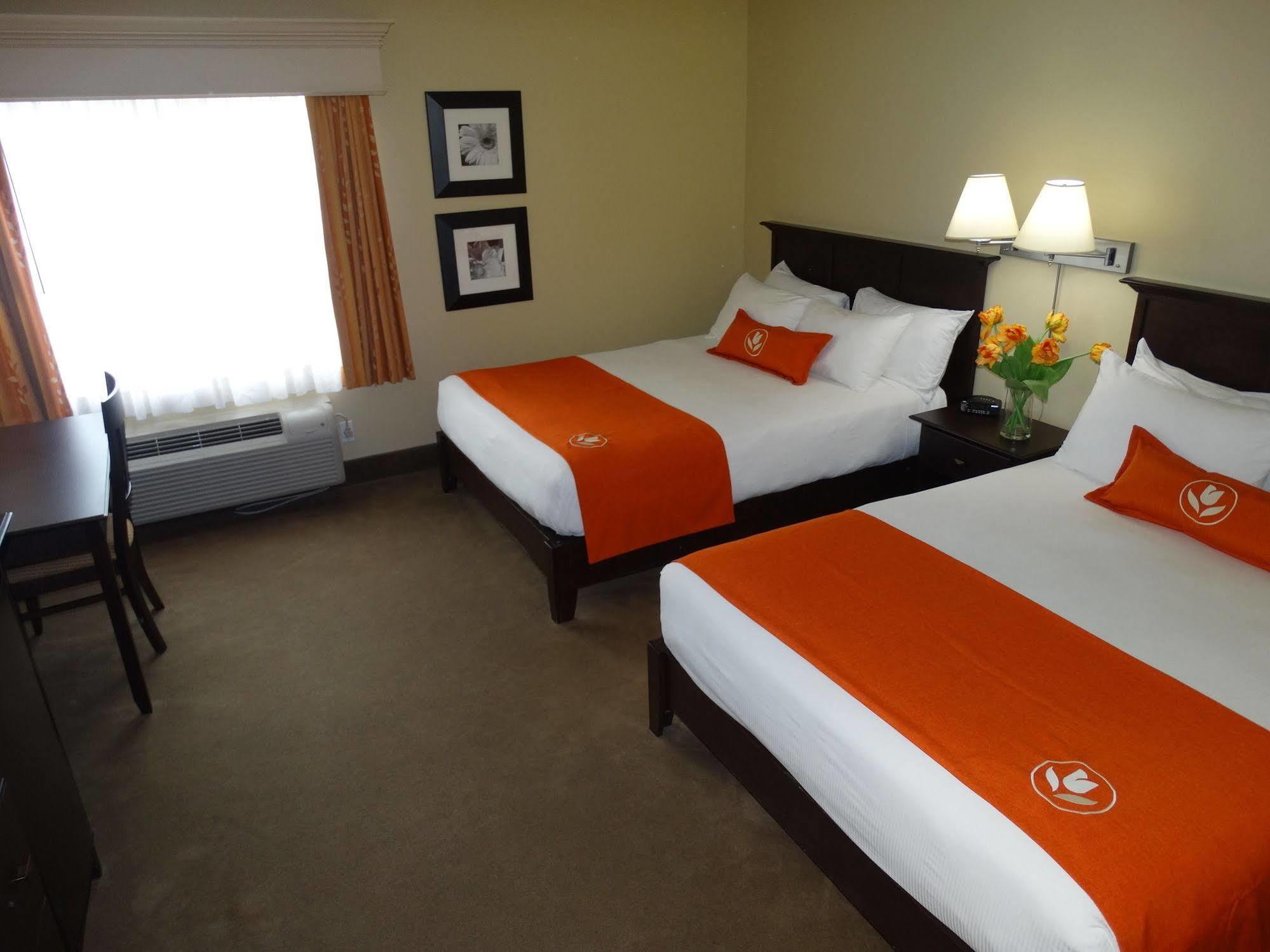 Amsterdam Inn & Suites Sussex Kültér fotó