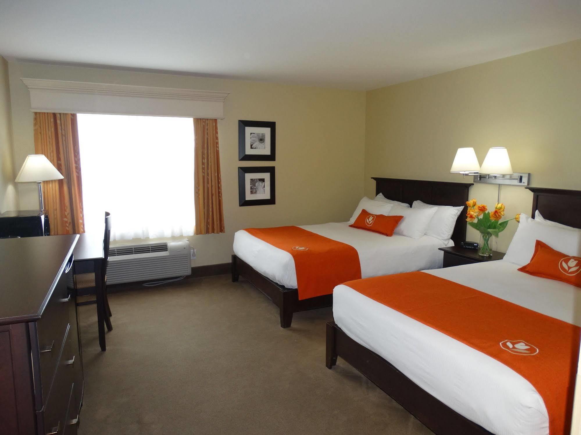 Amsterdam Inn & Suites Sussex Kültér fotó