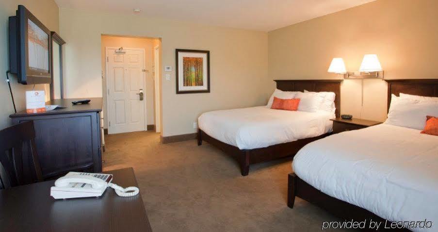 Amsterdam Inn & Suites Sussex Kültér fotó